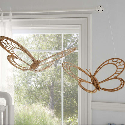 Wall decoration Acalora