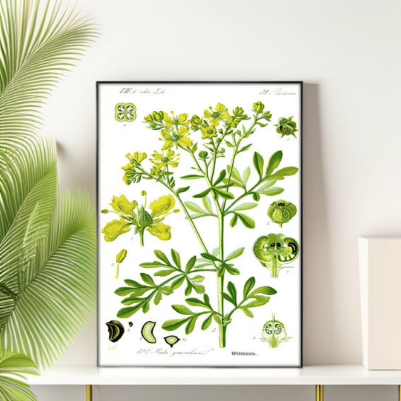 Botanical Art Print