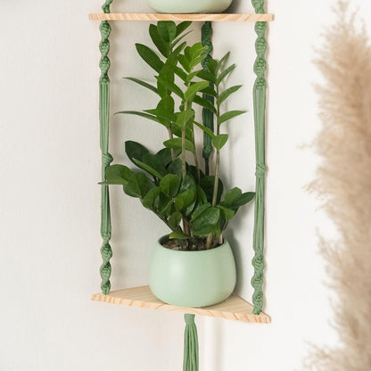 Hanging Plant Holder