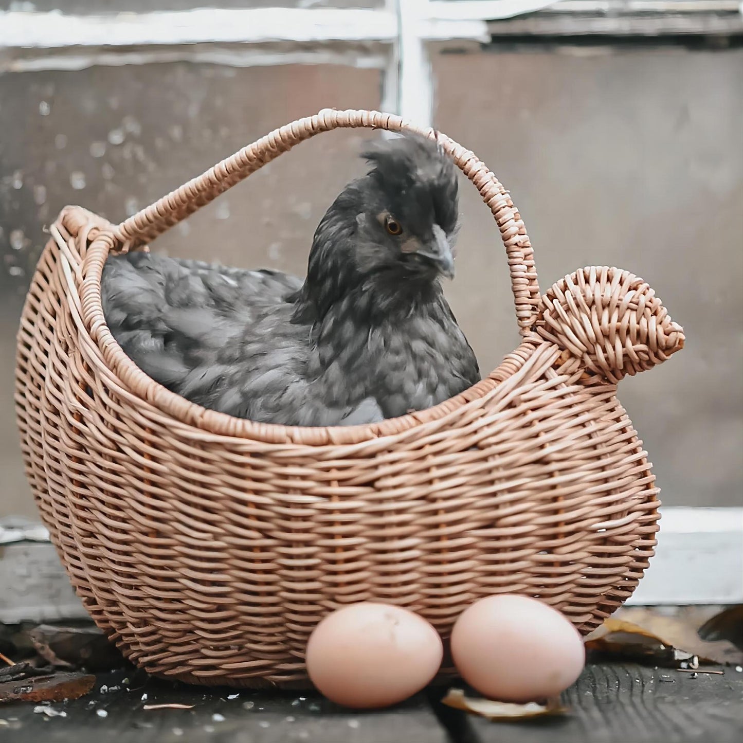 Decorative Wicker Acalora
