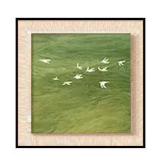 Vintage Floral Decorative Wall Art