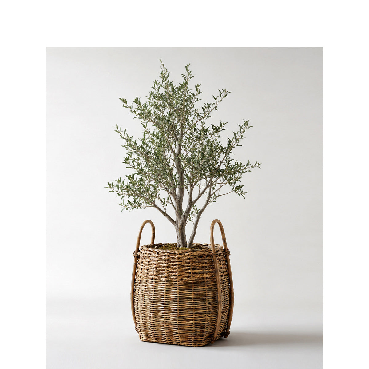Storage basket Acalora