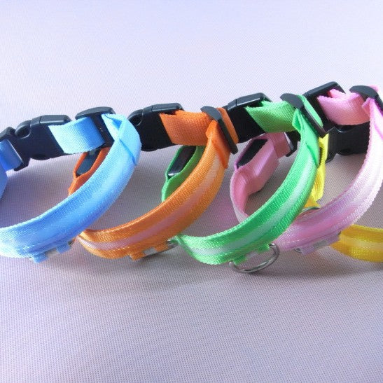 Skanto | LED Dog Collar – Keep an Eye on Your Pet!
