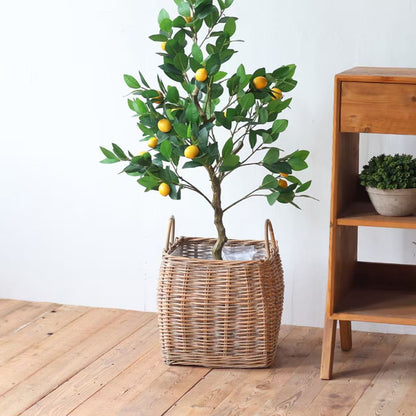 Decorative Basket Acalora