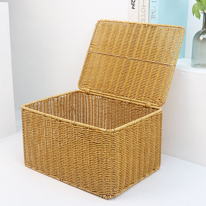 Woven Storage Chest with Lid Acalora