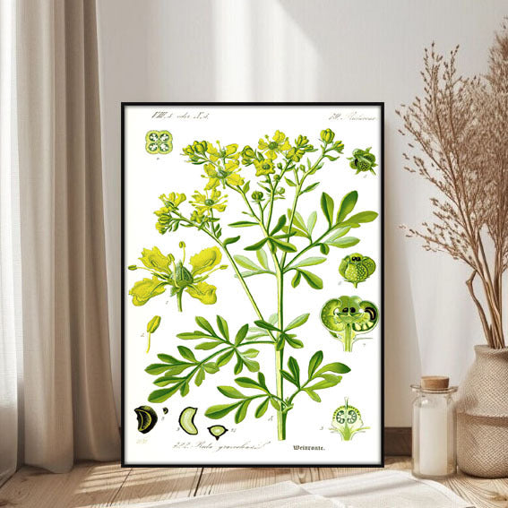 Botanical Art Print