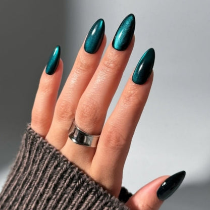 Glittery Gel Nail Art Extensions Acalora