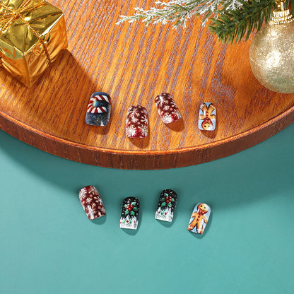 Artificial nail set Acalora