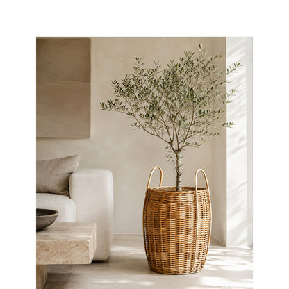 Practical storage basket Acalora