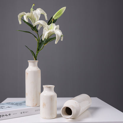 Modern Minimalist Ceramic Vase