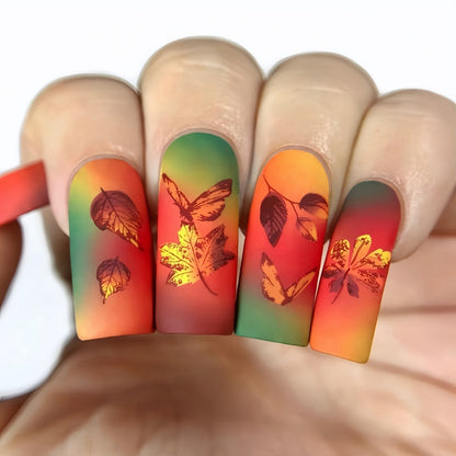 Art Nails Acalora
