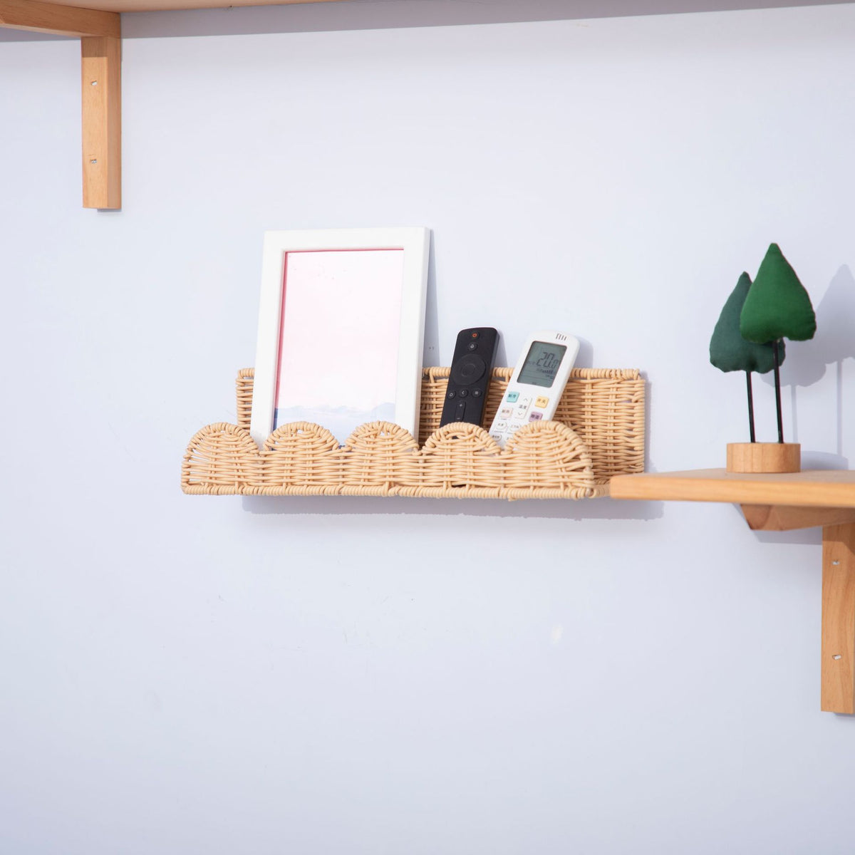 Shell Design Basket Acalora
