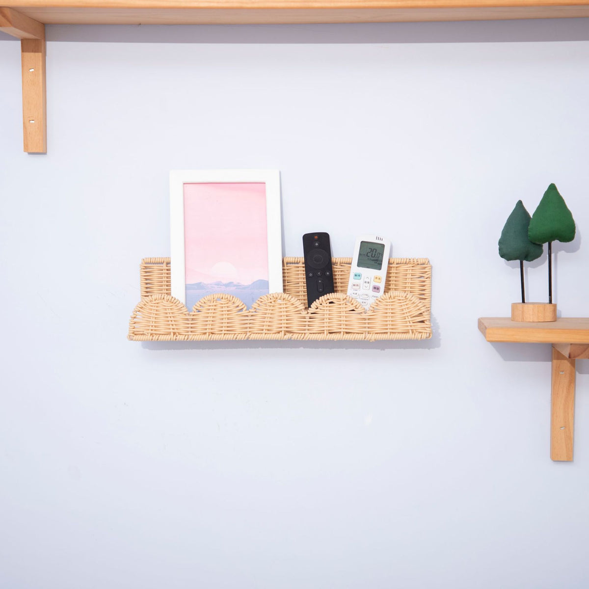 Shell Design Basket Acalora