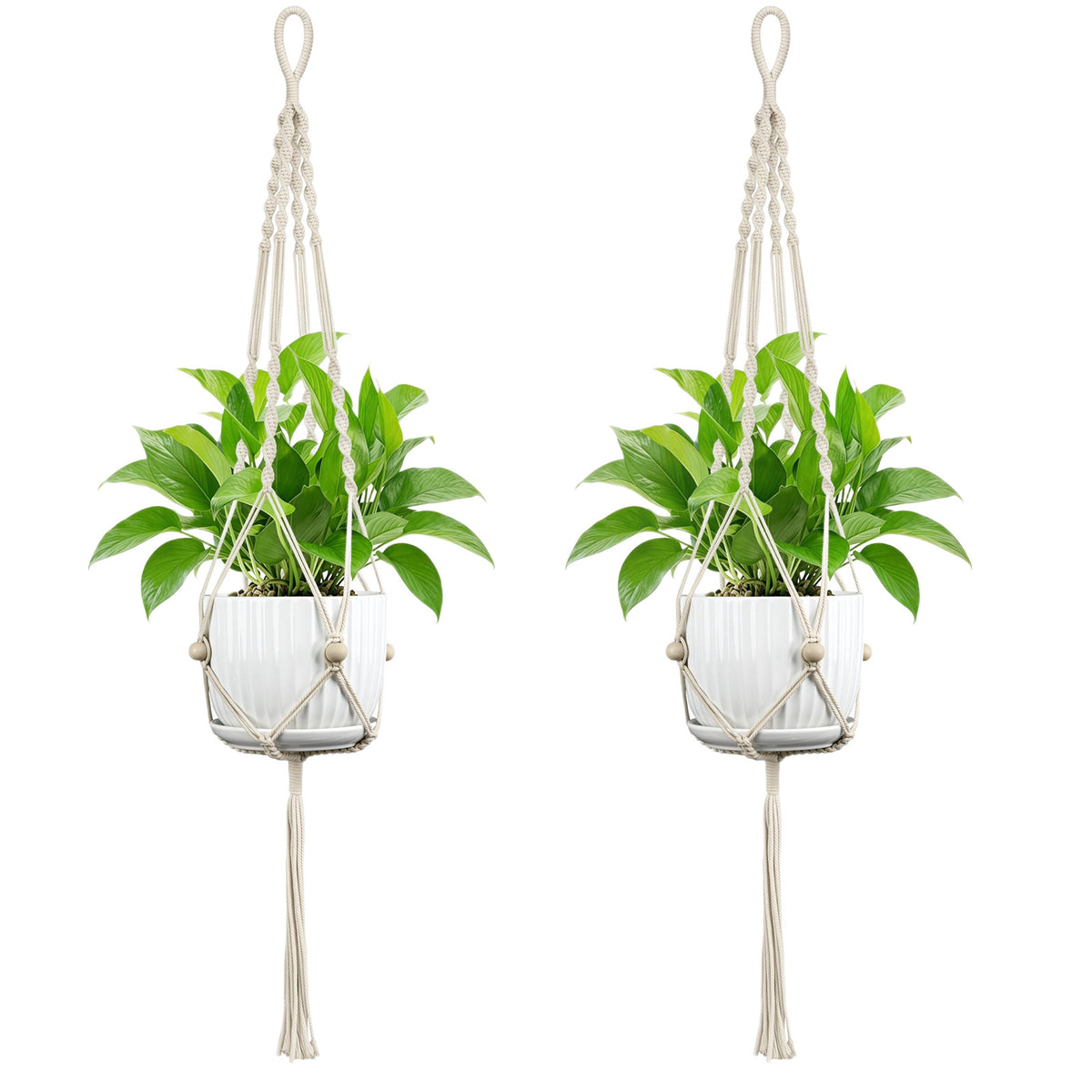 Plant Hanging Pot Acalora