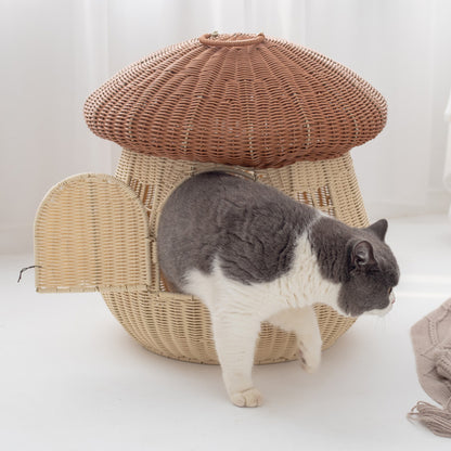 Cat House Acalora