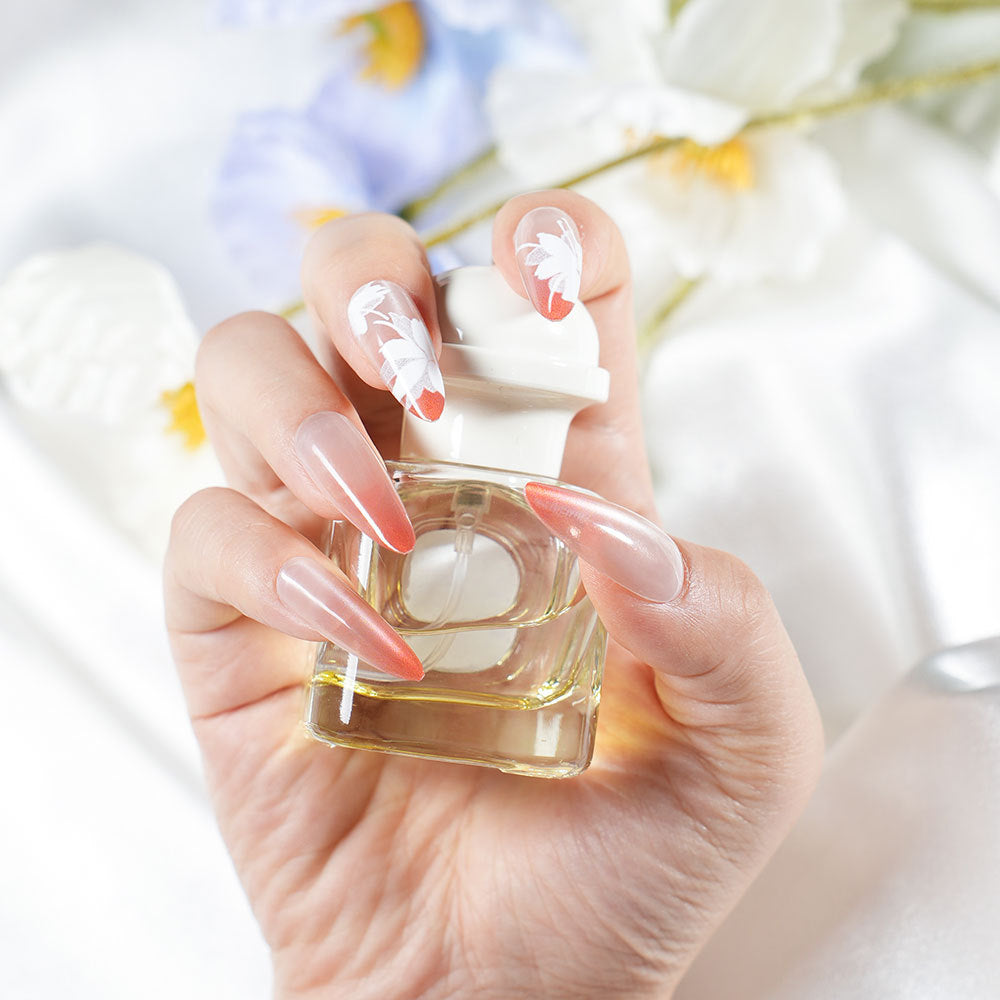 Premium Artistic Nail Tips Acalora