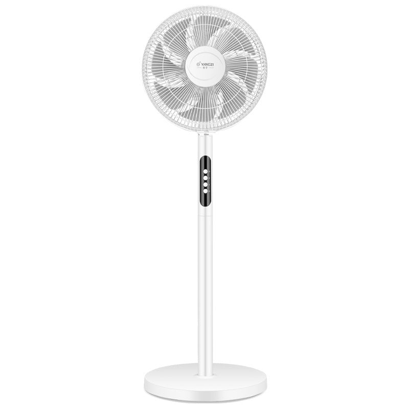 Women's Pedestal Fan Skanto