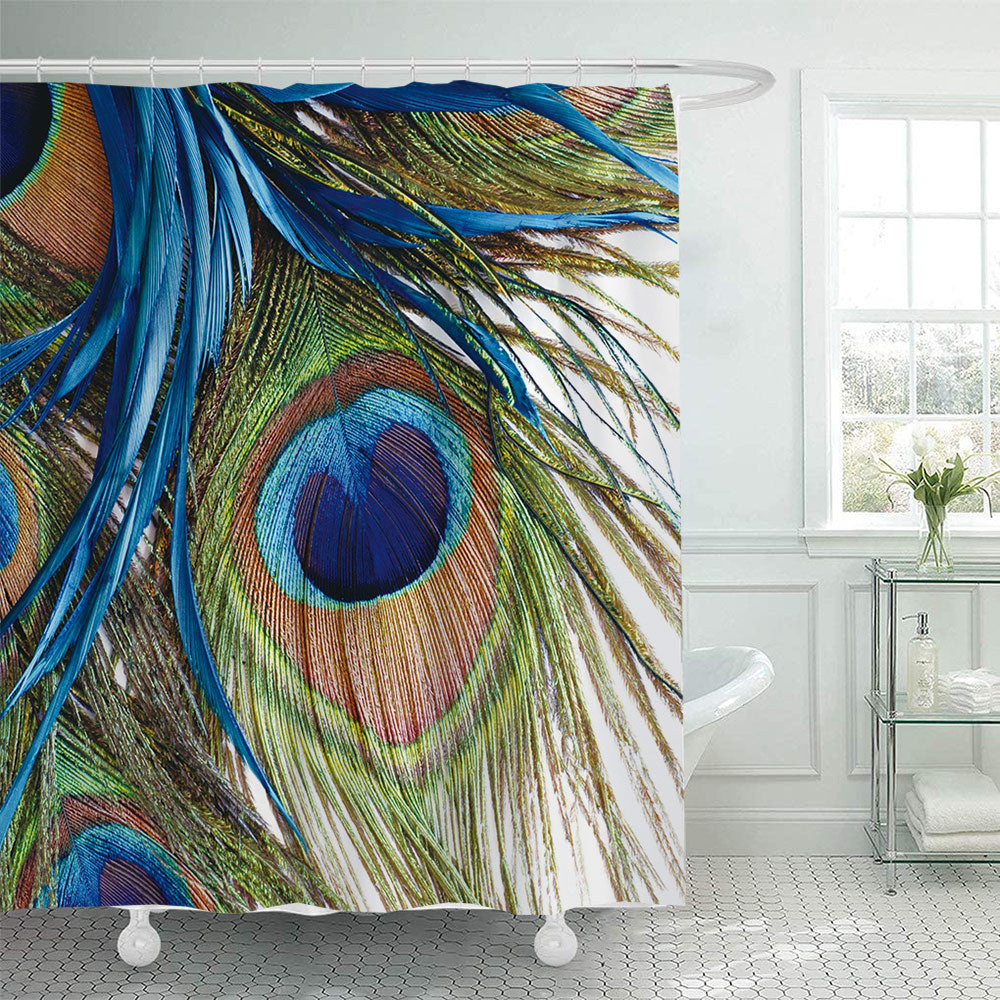 Artistic Peacock Feather Shower Curtain