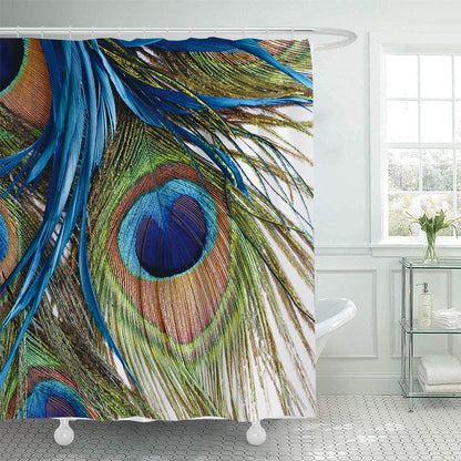 Artistic Peacock Feather Shower Curtain