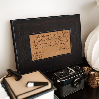 Elegant Framed Literary Art