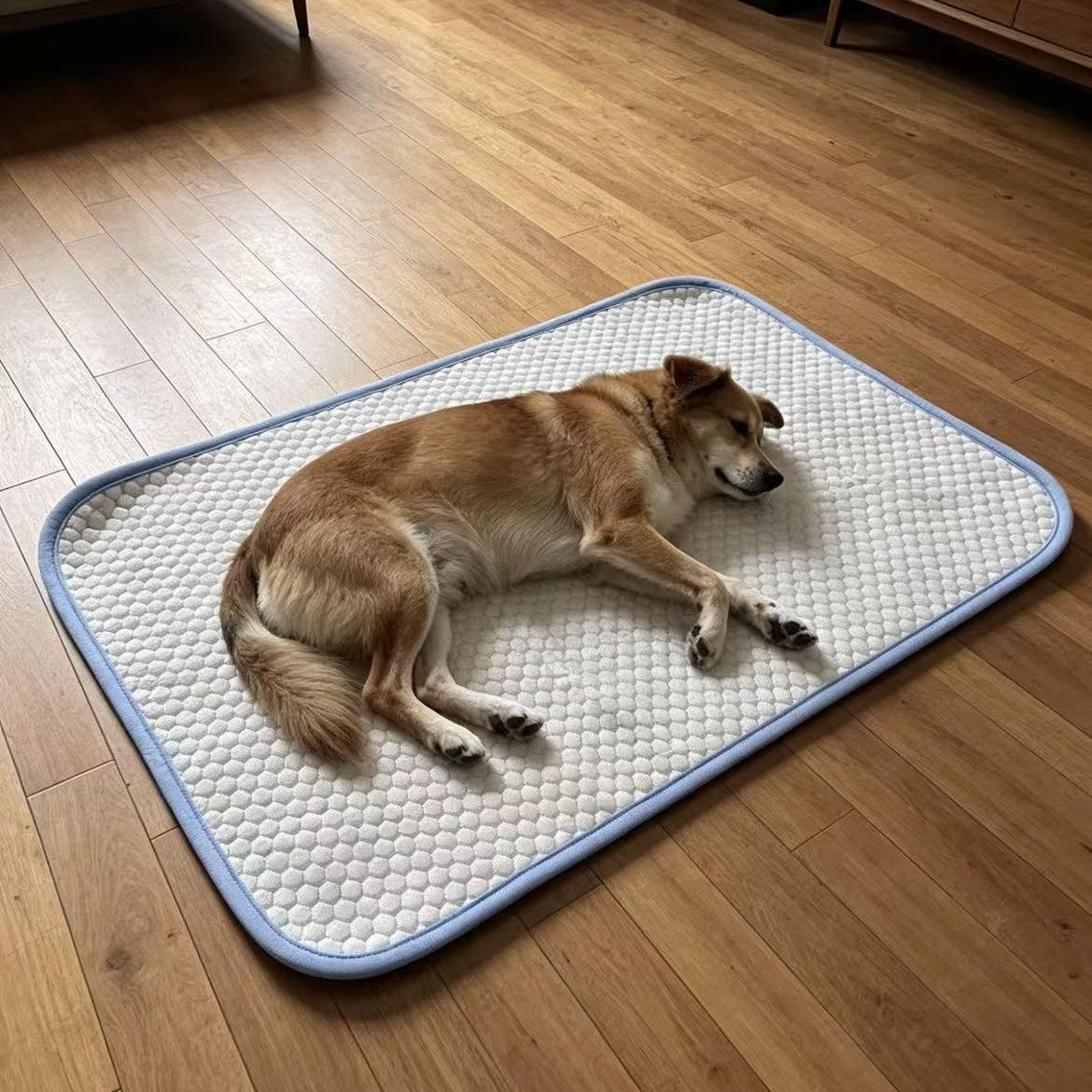 Unisex Cooling Mat for Pets Skanto