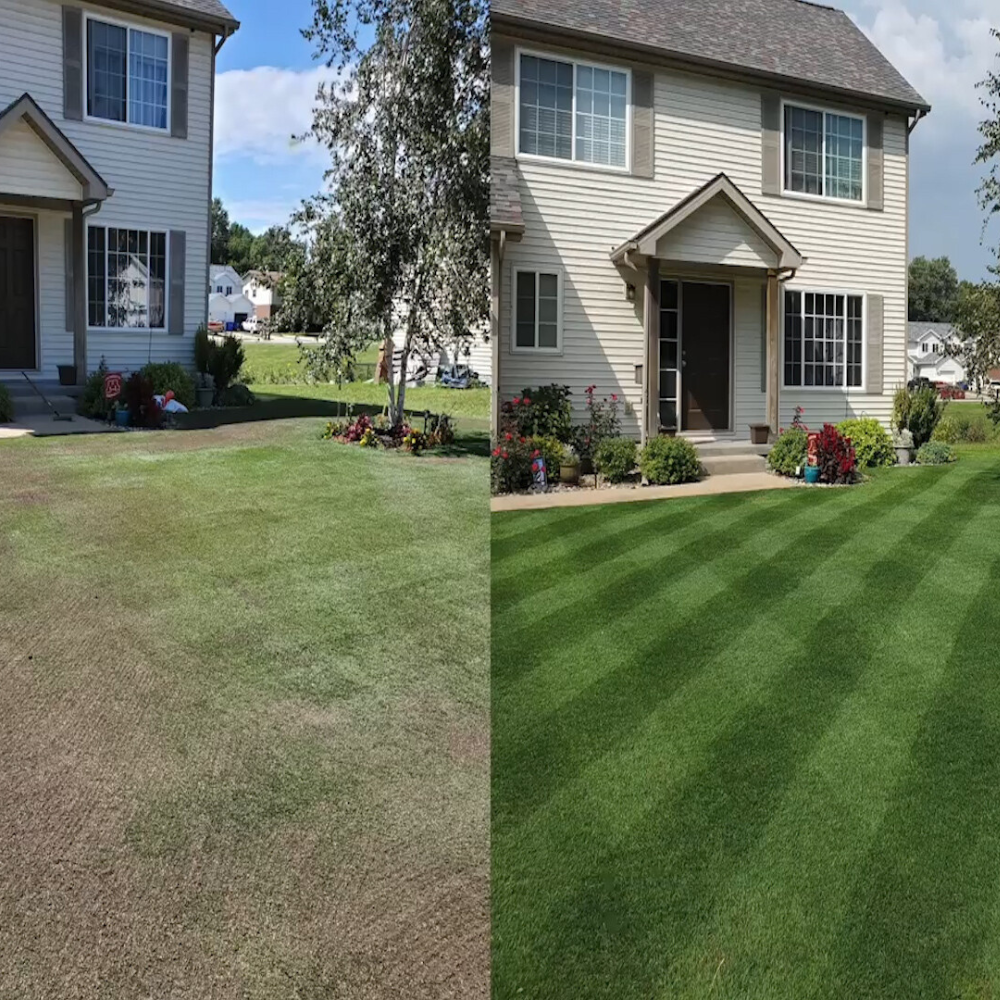 Green Grass Growth Spray | Spray your new lawn! | Karnz