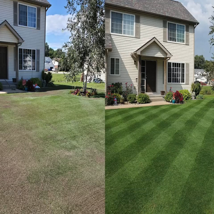 Green Grass Growth Spray | Spray your new lawn! | Karnz