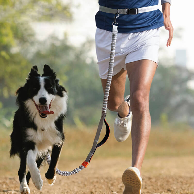 Skanto | Telescopic Double Handle Multifunctional Dog Leash