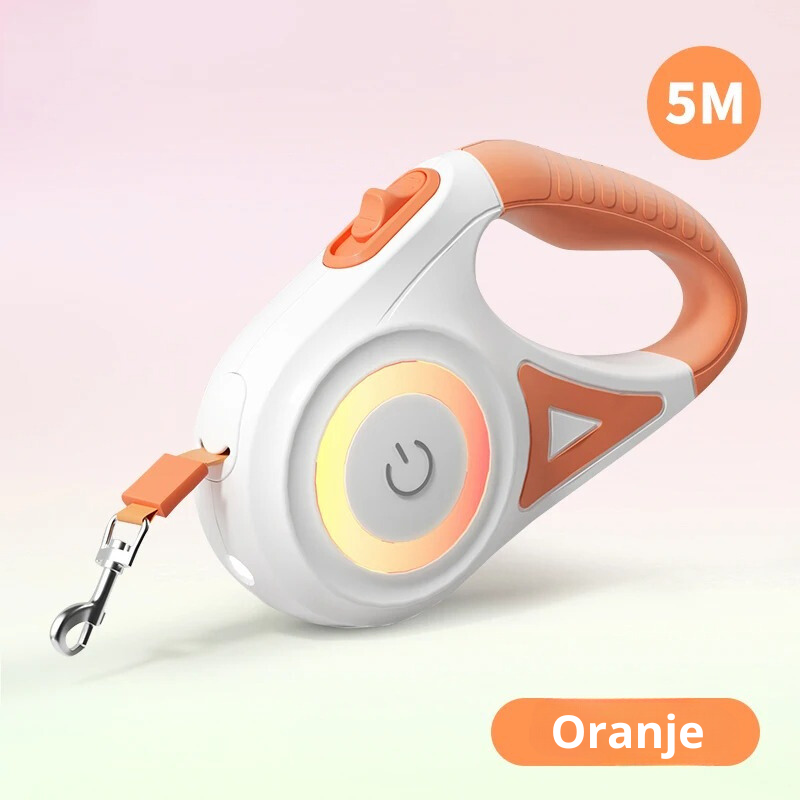 SafeWalk Leash – Illuminated Dog Leash for Safe Walking Bowlift
