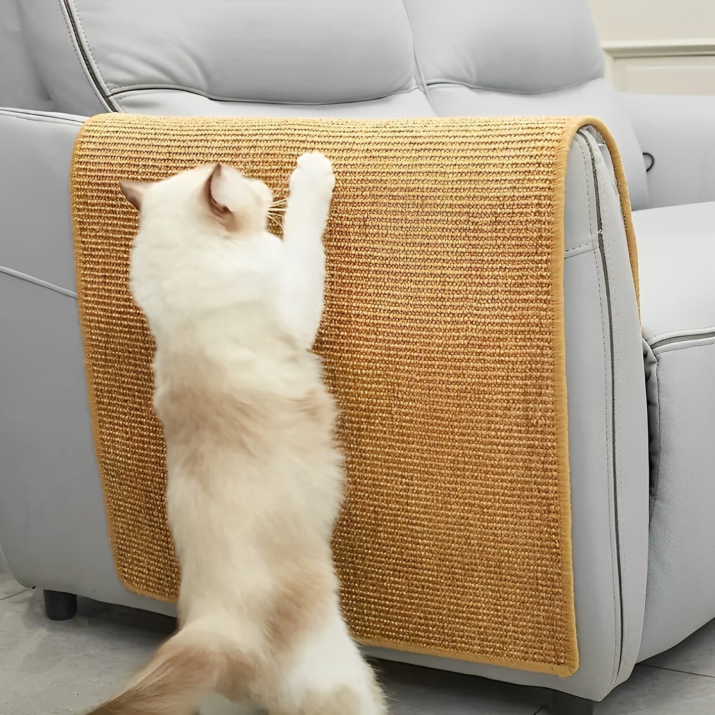 BowLift | Premium Cat Scratching Board for Daily Use