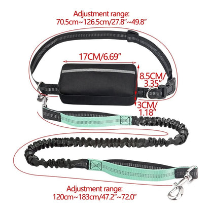 BowLift | Hands-free dog leash with padded comfort handles