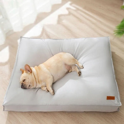 Skanto | Orthopedic Dog Bed Washable Memory Foam, Waterproof and Scratch-Resistant