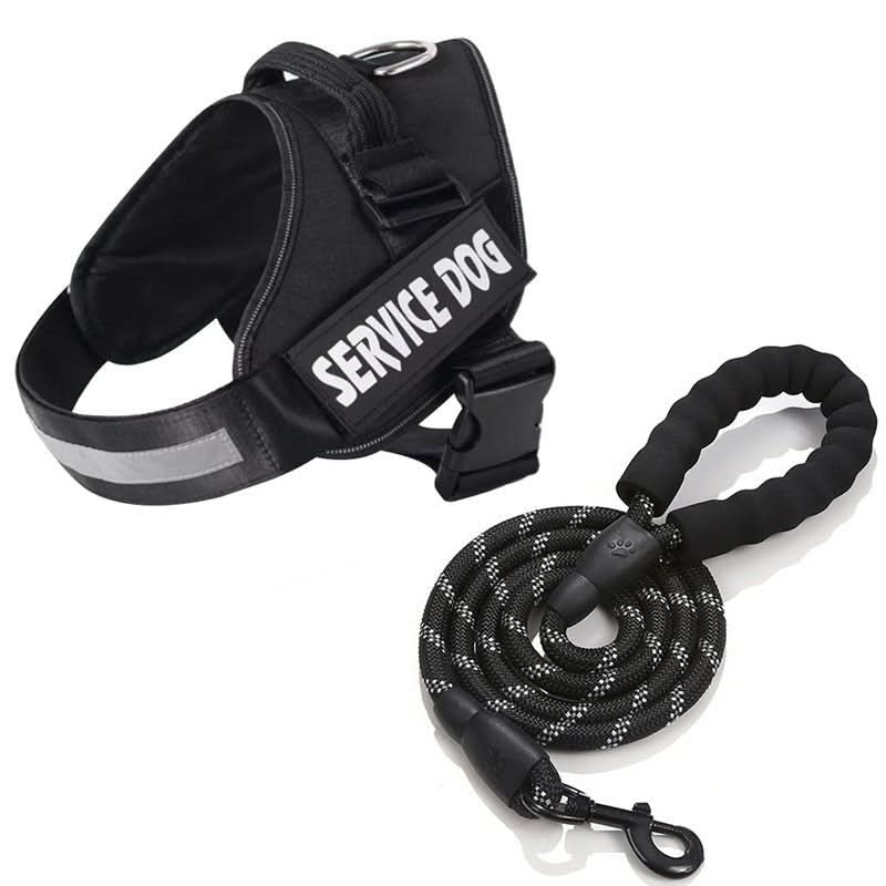 Skanto | Personalized Dog Harness for Comfort and Safety