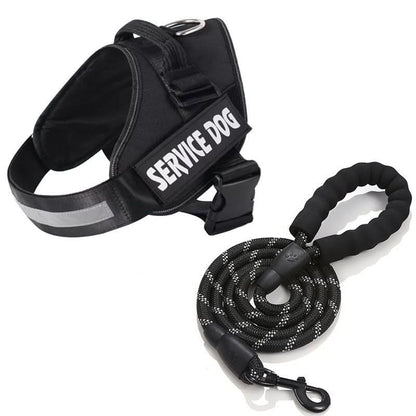 Skanto | Personalized Dog Harness for Comfort and Safety