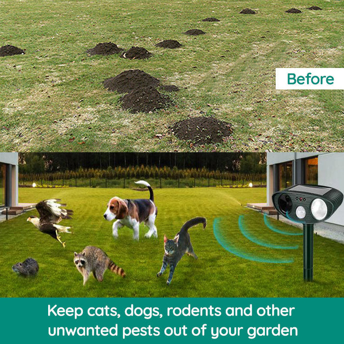 BowLift | Raccoon Outdoor Ultrasonic Repeller - Solar-powered Ultrasonic Animal and Pest Control - Get rid of raccoons within 48 hours