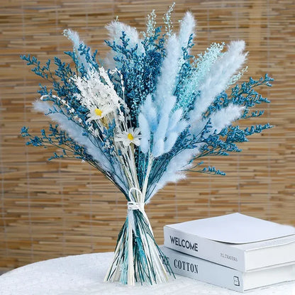 Skanto - Cozy Pampas Grass