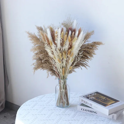 Skanto - Cozy Pampas Grass