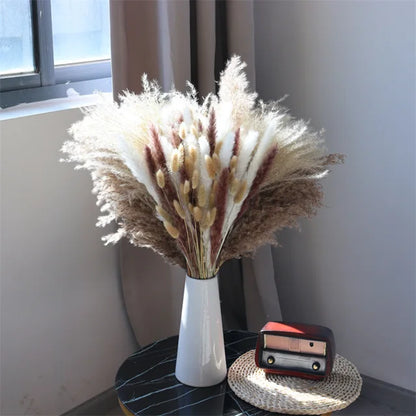 Skanto - Cozy Pampas Grass