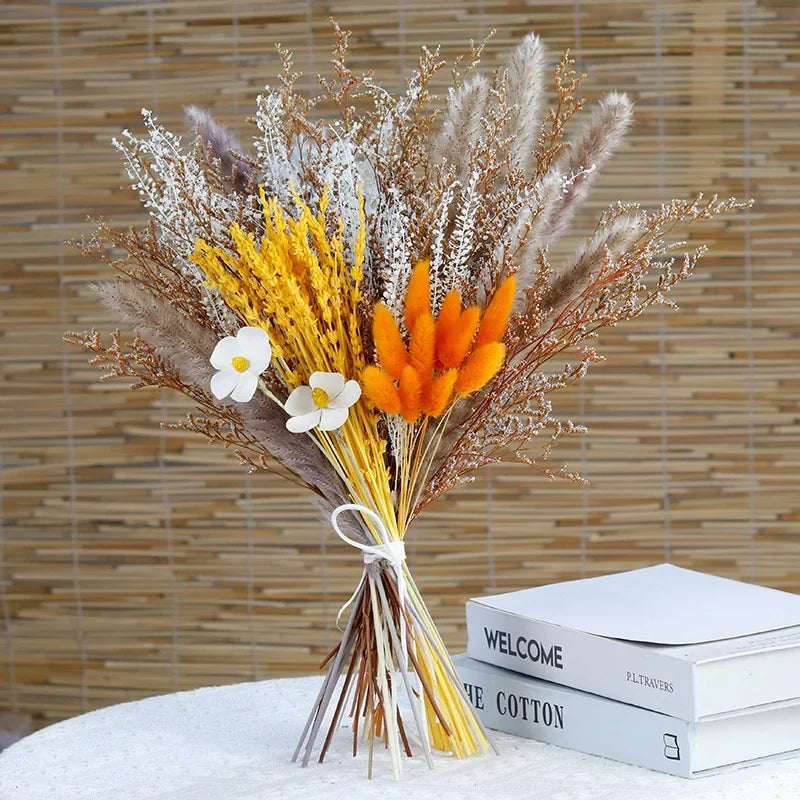 Skanto - Cozy Pampas Grass