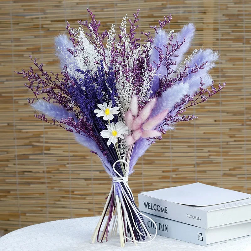 Skanto - Cozy Pampas Grass