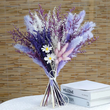 Skanto - Cozy Pampas Grass
