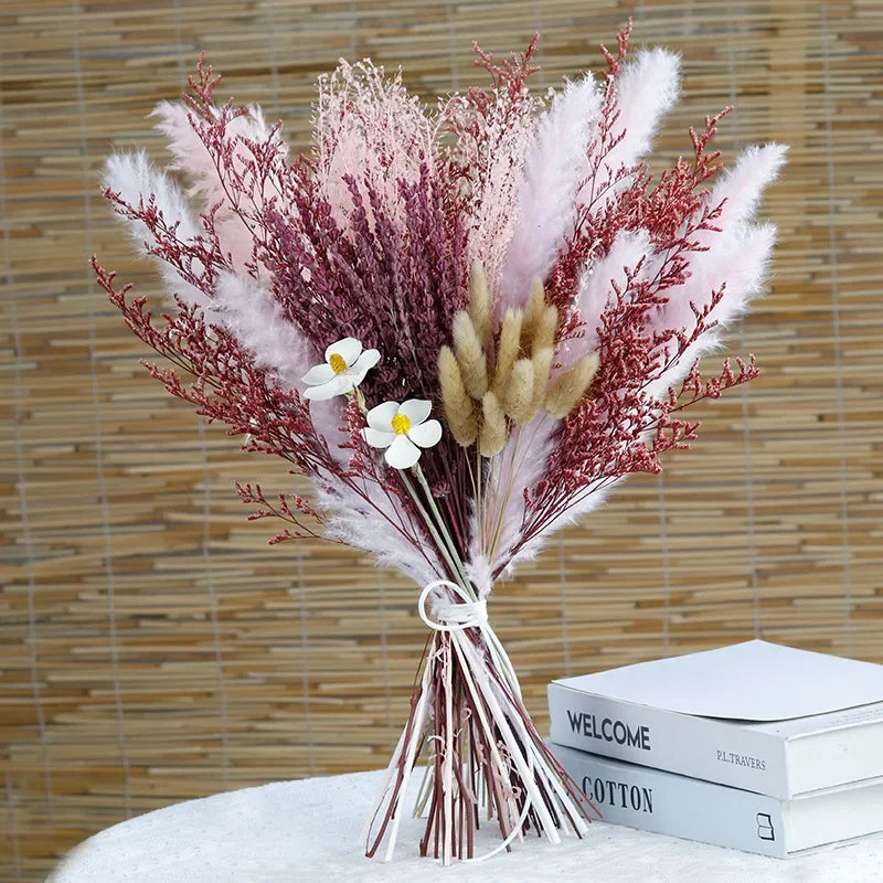 Skanto - Cozy Pampas Grass