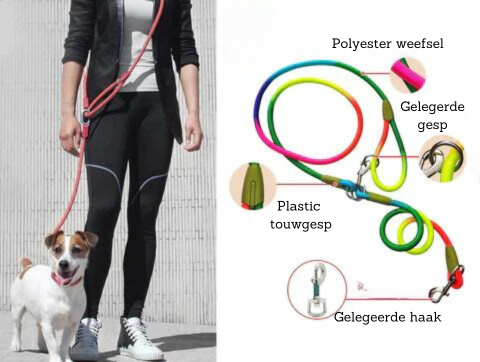 FreedomLeash – Innovative Hands-Free Dog Leash Skanto