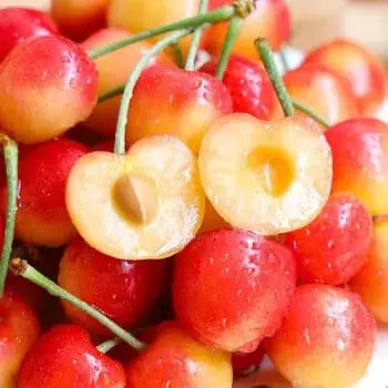 BowLift | Rainier Cherry Seeds – High Quality Cherries