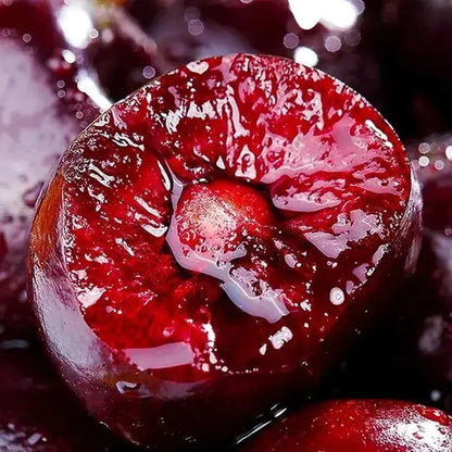 BowLift | Rainier Cherry Seeds – High Quality Cherries