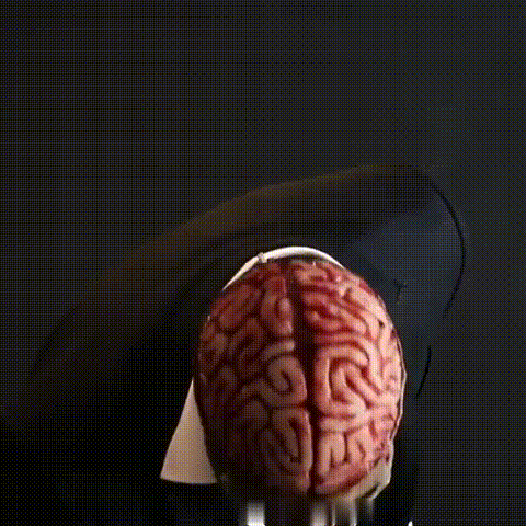 BowLift | Halloween Skull Mask with Brain Detail