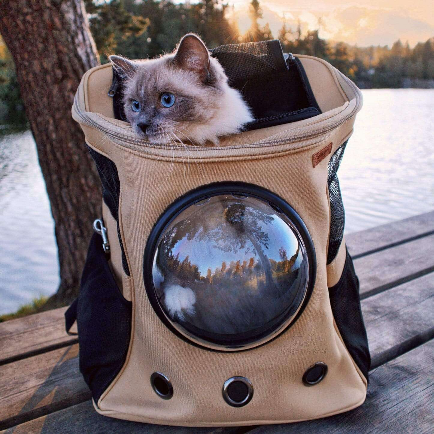 Skanto | PurrVenture Backpack – Portable Pet Carrier for Cats and Small Pets