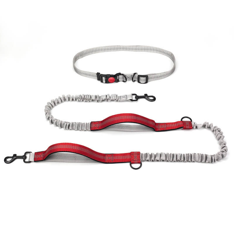 Skanto | Telescopic Double Handle Multifunctional Dog Leash
