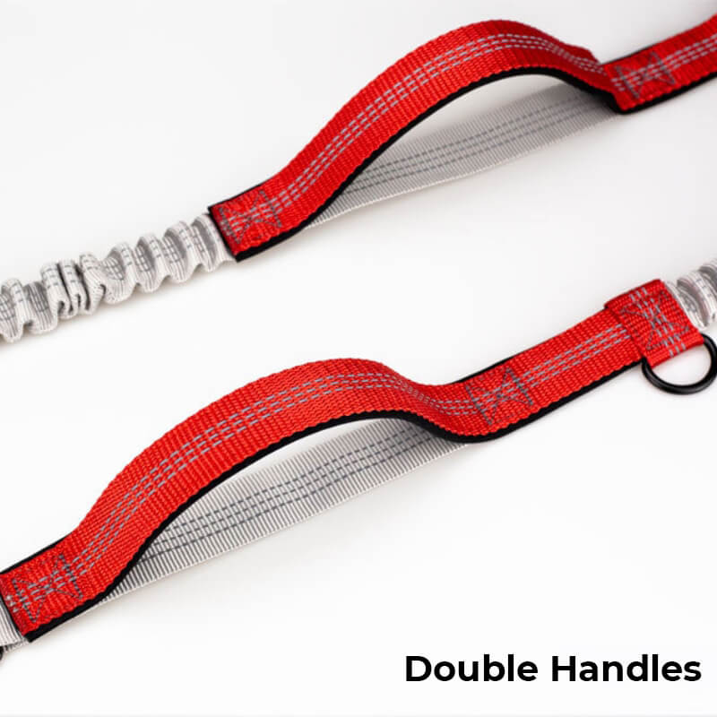 Skanto | Telescopic Double Handle Multifunctional Dog Leash