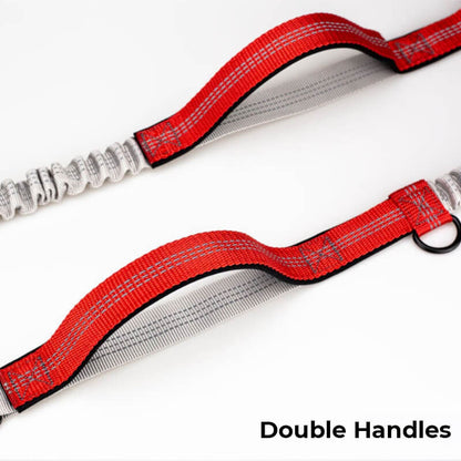 Skanto | Telescopic Double Handle Multifunctional Dog Leash